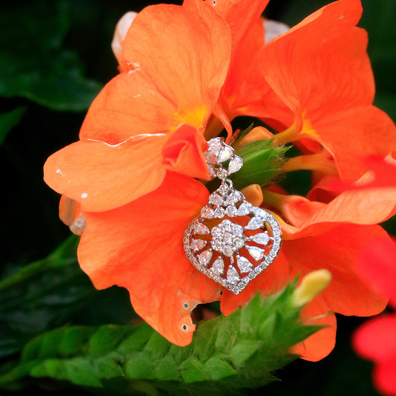 أقراط أذن على شكل قلب من الذهب - مراجعة Diamond Stud Earrings وسعره